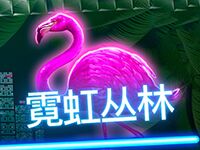 淘金娛樂城官網-霓虹叢林