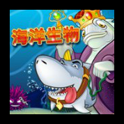 淘金娛樂城官網-海洋生物