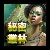 淘金娛樂城官網-秘密叢林