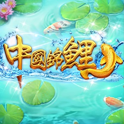 淘金娛樂城官網-中國錦鯉