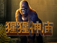 淘金娛樂城官網-猩猩神廟