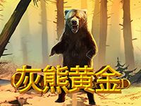 淘金娛樂城官網-灰熊黃金