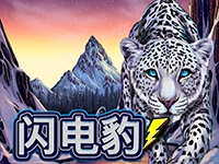 淘金娛樂城官網-閃電豹