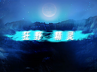 淘金娛樂城官網-狂野精靈