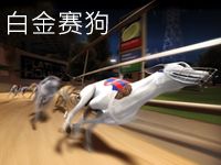 淘金娛樂城官網-白金賽狗