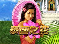 淘金娛樂城官網-泰國之花