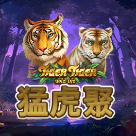 淘金娛樂城官網-猛虎聚